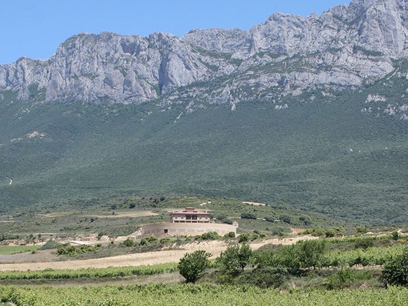 
						A Wine Lover’s Guide to La Rioja
